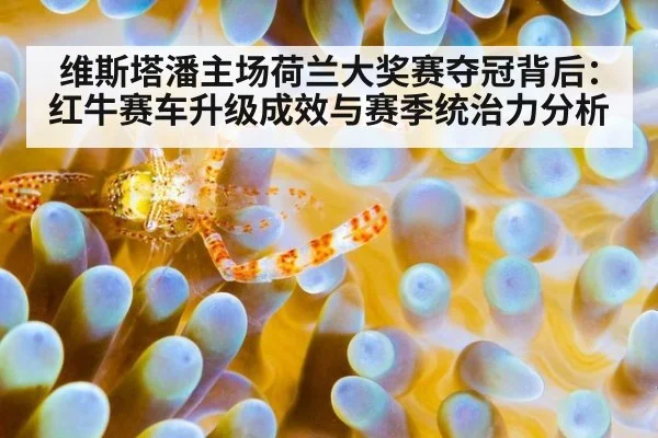 维斯塔潘主场荷兰大奖赛夺冠背后:红牛赛车升级成效与赛季统治力分析