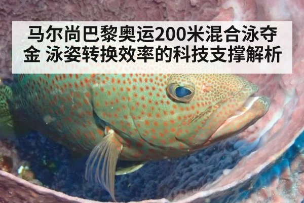马尔尚巴黎奥运200米混合泳夺金 泳姿转换效率的科技支撑解析